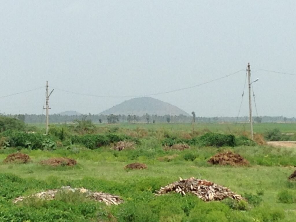 ප්රදේශයේ බෞද්ධ නටබුන්